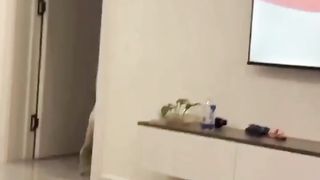 Animal Funny Puppy and Kitty