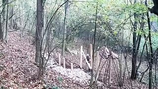Amazing. How build a beautiful wooden cabin.