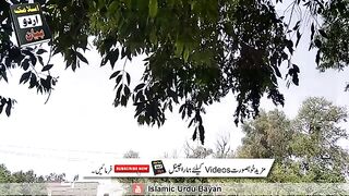 Molvi wife shoes