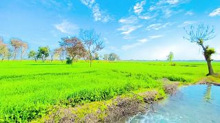 this is my village in Pakistan