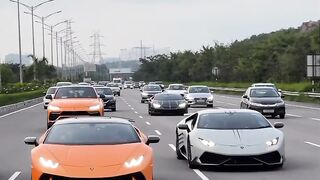 Cars lovers