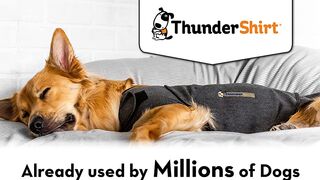 ThunderShirt For Dogs | Small, Heather Gray Classic | Dog Anxiety Vest