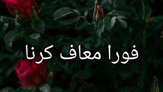 Maaf karo