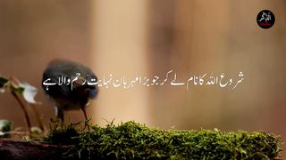 Sura Yaseen ❣️ AlQuran ❣️