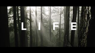 DON'T WASTE YOUR LIFE - Powerful Motivational Speech Video (Ft. Coach Pain)