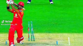 Cricket tik tok vedio