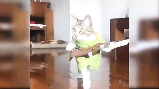 A Cat Lover's Life Will Shock You!