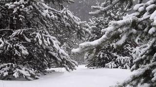 Snow falling with relaxing music for relaxation,meditation,study,sleep