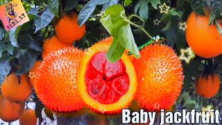 Learn red and pink fruits name for your kids ????????