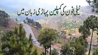 Funny Videos