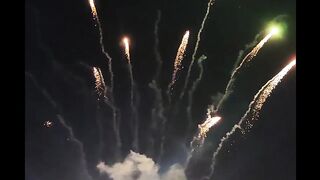 Fish Fair & Fire Works in Susan, Suth Korea