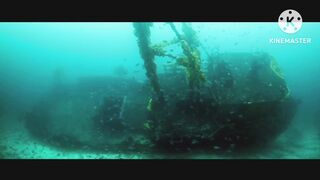 Sea tour