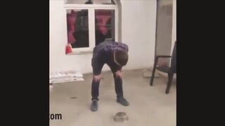 Boy Stupidty