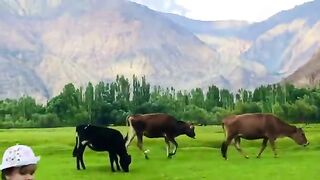 Skardu_to_Balghar_Valley___Balghar_Valley_Vlog___Beautiful_Balghar_Valley