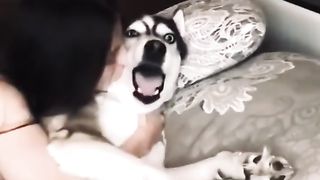 I'll eat you, eat you, eat you.