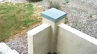 Funny video