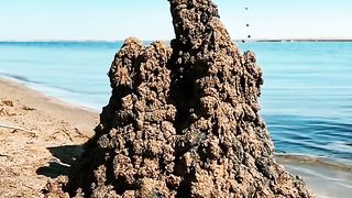 Beach Castle