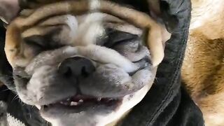 Don't wake me up, I'm sleeping.