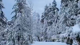 Teri Aankhon Ke Dariya Ka Utarna Bhi Zaroori Tha l 2023 l Sad Feeling Heart Touching Song