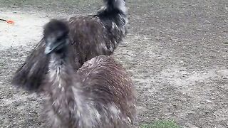 let's play catch-up.