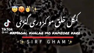 Don't underestimate the pakhtun power????.plz follow me