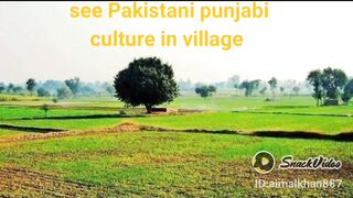 Beautiful village life of Pakistan ❤️