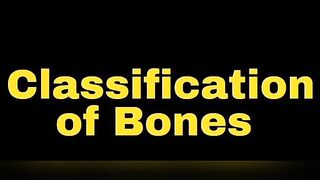 Classification of Bones according to Development