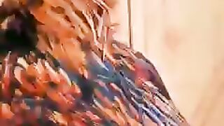 Most beautiful parrot bird amazing beauty in world