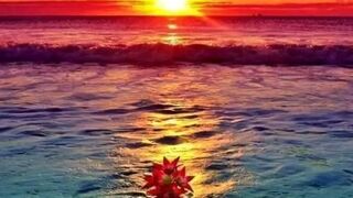 Amazing place watch now//????????