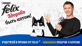 Акция Феликс здорово быть котом