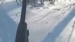 Охота на кабана