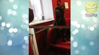 Лучшие приколы 2022 \ TikTok \ Best COUB \ Тест на психику \ Подборка № 11