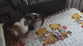Битва Гигантов! Жесть!