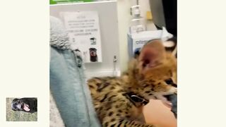 Первая в жизни добыча.