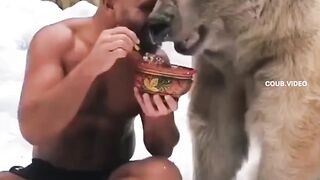 Два хозяина