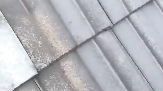Быстрая покраска крыши.