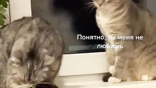 funny humor2