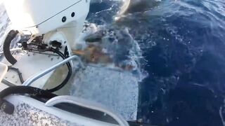 Incredible acts of kindness