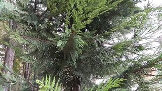 Детская площадка.