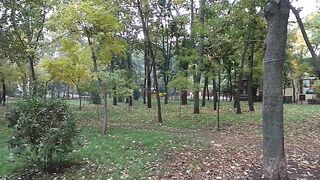 Совушка сова.