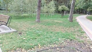 Берёзовая роща.