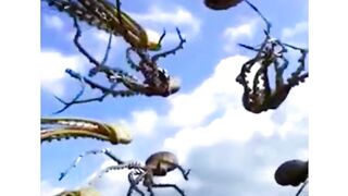 Голландские воздушные змеи.