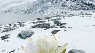 I love winter