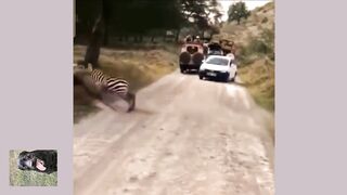 Когда кажется что шансов выжить -- нет.