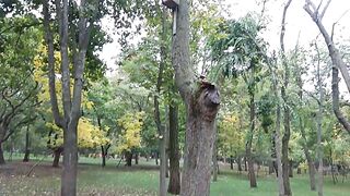 Отдыхаем на пенёчках.