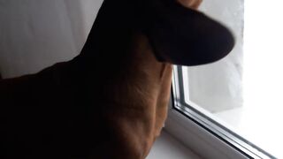 Реакция Кекса на дворовых котов.