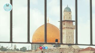 Travel To israel - israel History Documentary in Urdu And Hindi - Spider Tv - اسرائیل کی سیر.