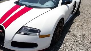 bugatty full mudedd