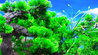 Diy mini farming beautiful world