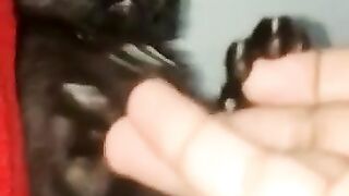 Funny ????????  cat